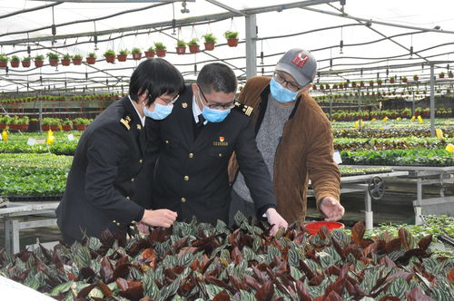 廣州農產品原材料進出口雙順暢，為農業生產注入新活力